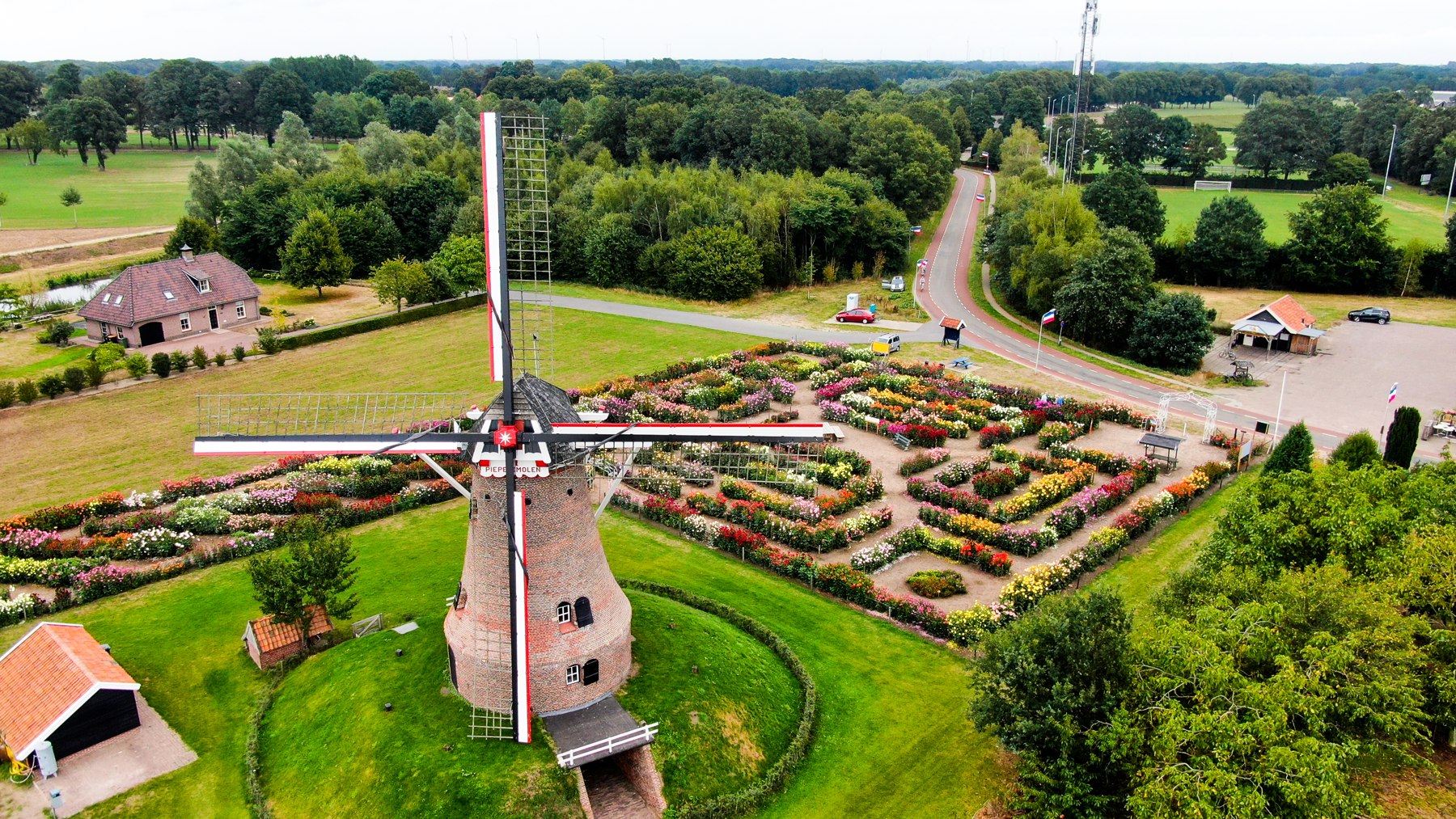 Molen en bloementuin